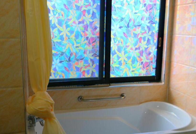 اتاق ساده سه نفره, Nadi Fancy