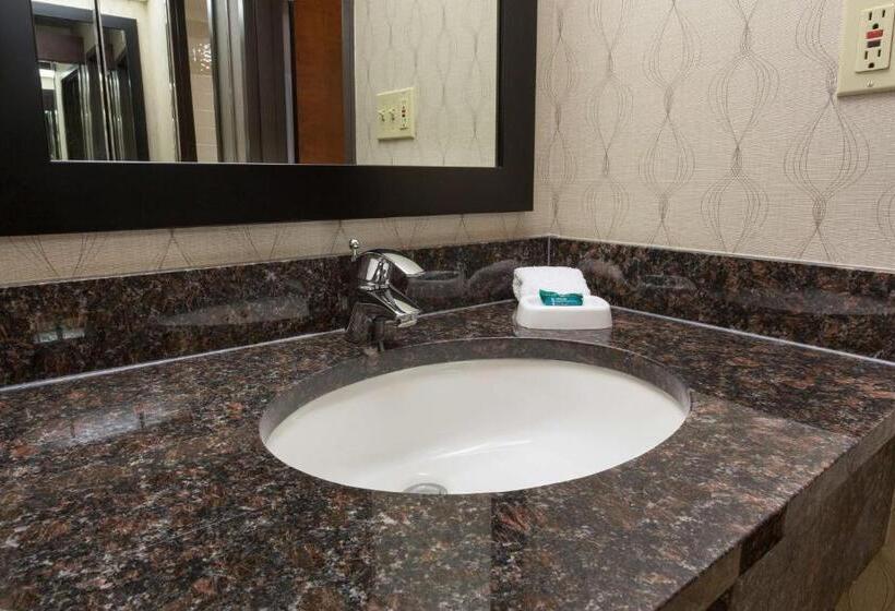 Номер Deluxe Кровать Кинг, Heritage Inn Suites Houston Sugar Land, Trademark By Wyndham