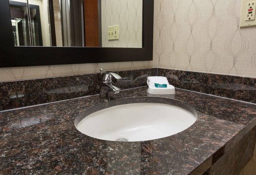 Номер Deluxe, Heritage Inn Suites Houston Sugar Land, Trademark By Wyndham