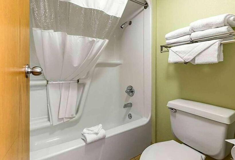 Номер Стандарт Адаптированный для Инвалидов, Baymont By Wyndham Branson Thousand Hills