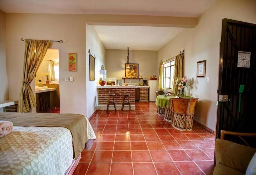 スタンダードスタジオ, La Quinta Del Sol