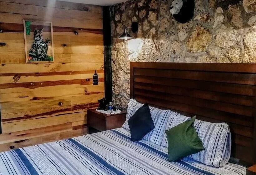 スタンダードルーム, Cabañas Big Mountain