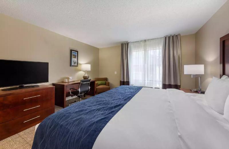 스탠다드 룸, Comfort Inn Danvers   Boston North Shore