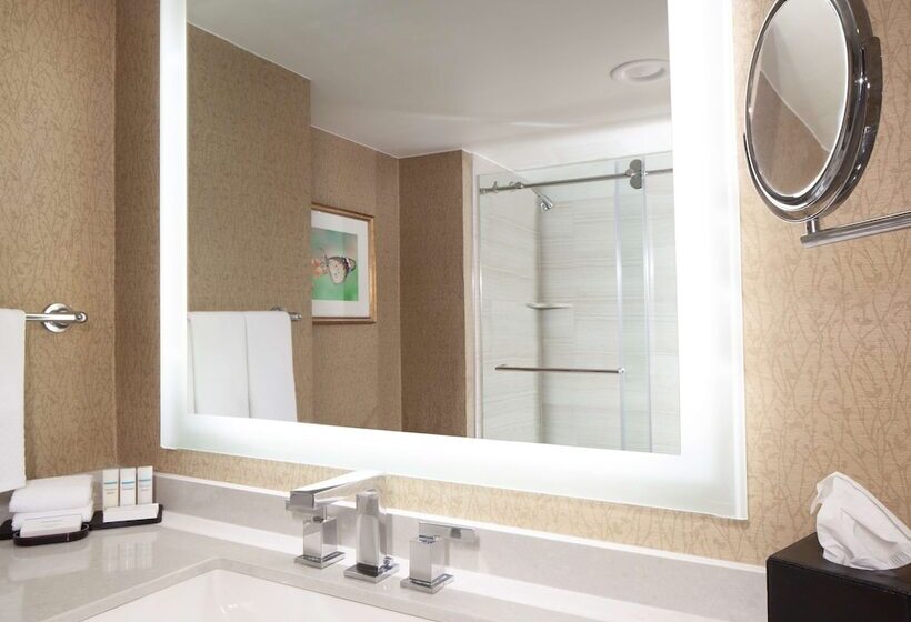 プレミアムスイート２ベッドルーム, Embassy Suites By Hilton Dallas Near The Galleria