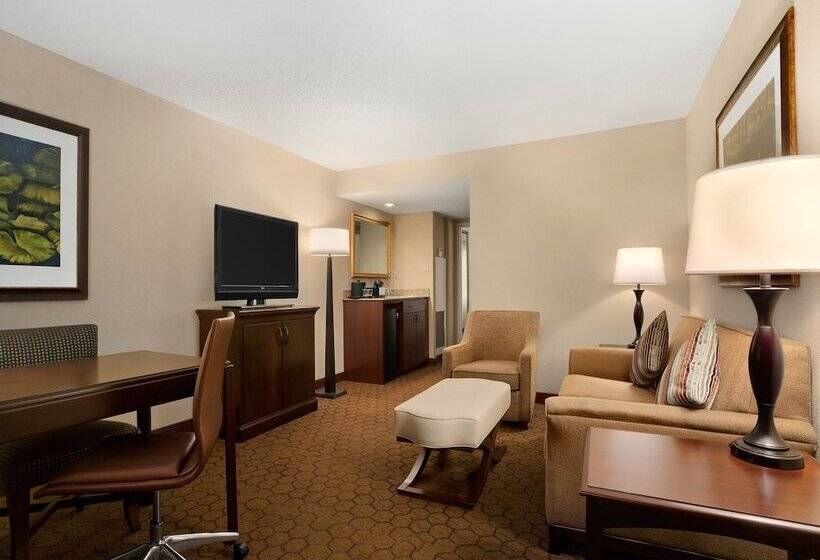 プレミアムスイート２ベッドルーム, Embassy Suites By Hilton Dallas Near The Galleria