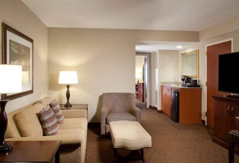 プレミアムスイート, Embassy Suites By Hilton Dallas Near The Galleria