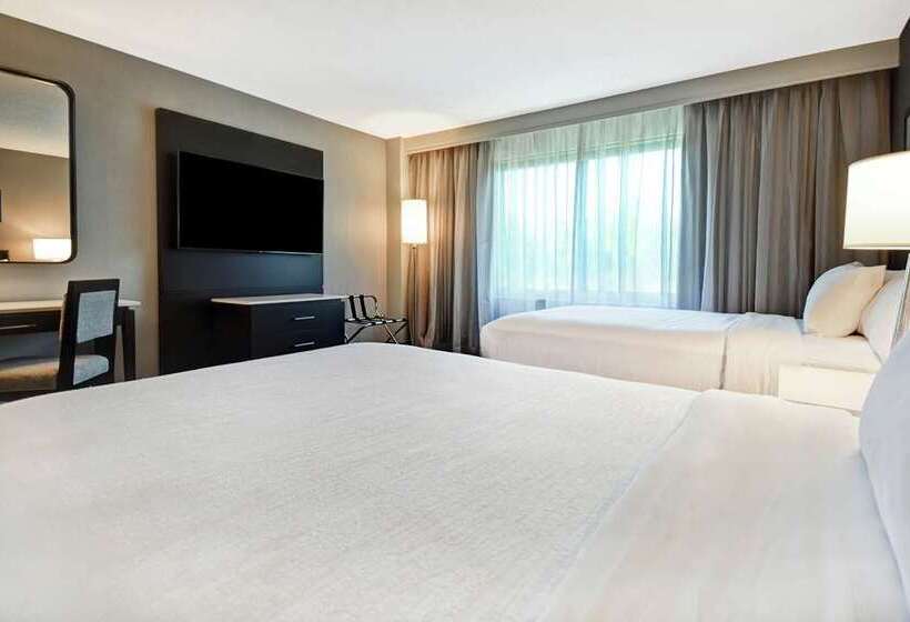 プレミアムスイート, Embassy Suites By Hilton Dallas Near The Galleria