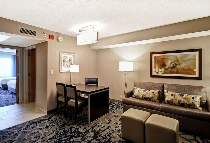 Номер Стандарт 2 Двуспальные Кровати, Embassy Suites By Hilton Raleigh Durham Research Triangle