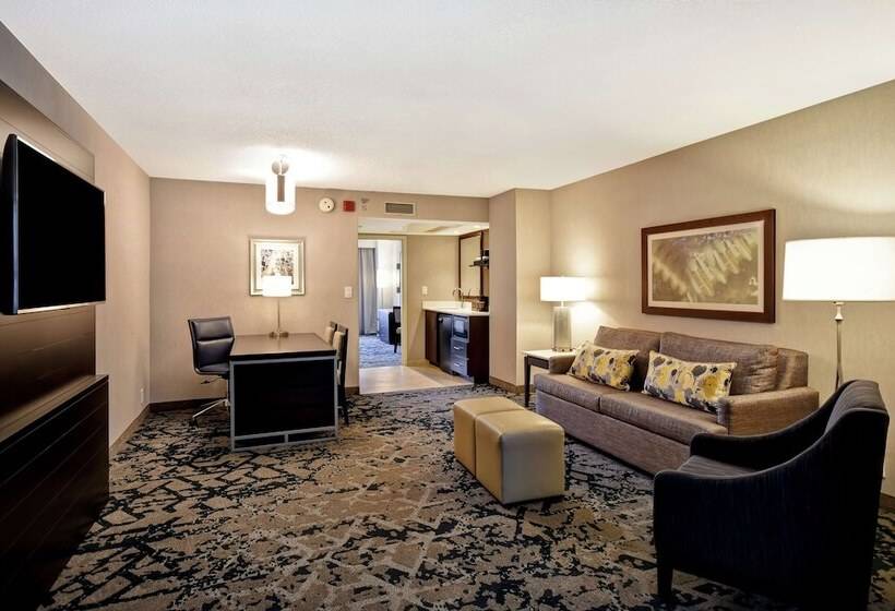 Номер Стандарт 2 Двуспальные Кровати, Embassy Suites By Hilton Raleigh Durham Research Triangle
