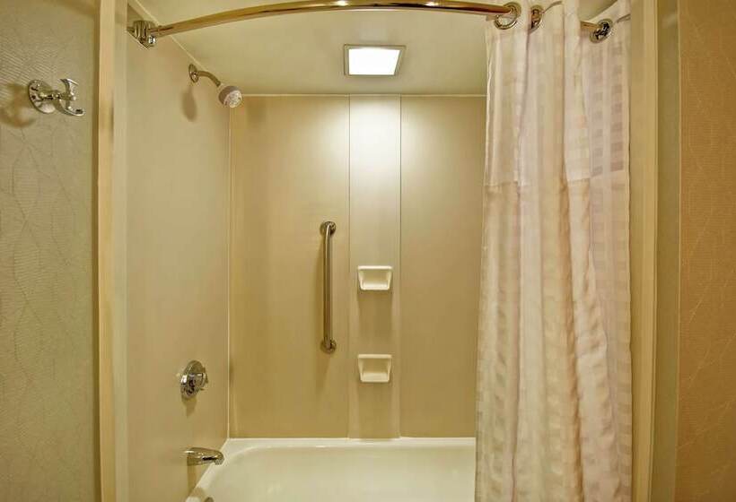 Люкс Премиум, Embassy Suites By Hilton Raleigh Durham Research Triangle