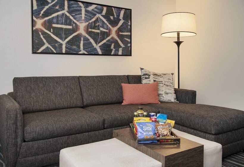 Люкс Премиум, Embassy Suites By Hilton Orlando Airport