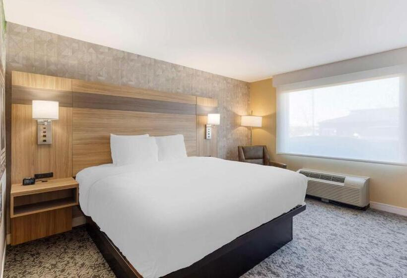 Standard Szoba King Size Bed, Best Western Glenview   Chicagoland Inn And Suites