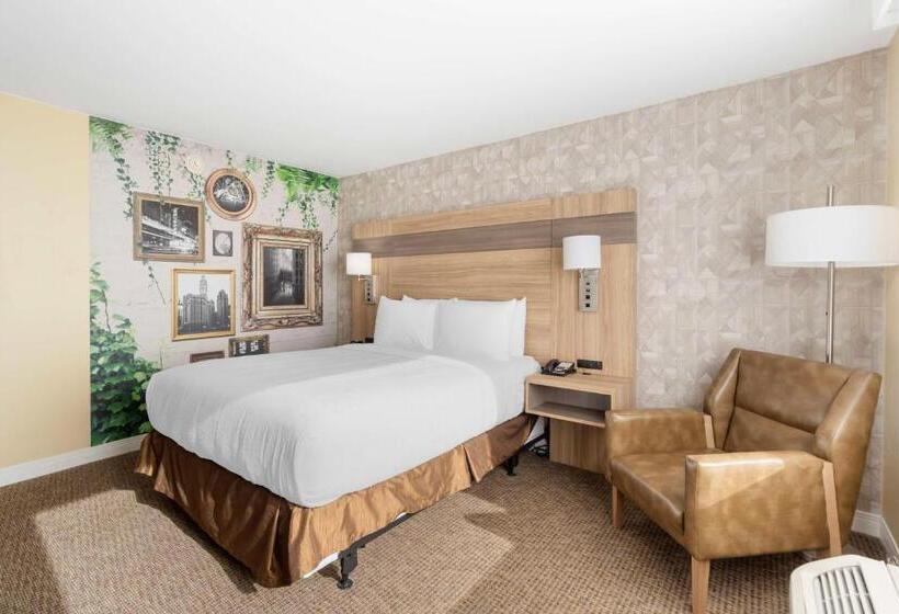 Mozgáskorlátozott Standard Szoba Queen Size Bed, Best Western Glenview   Chicagoland Inn And Suites