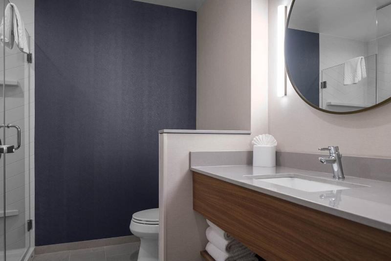 Suite Pat King, Fairfield By Marriott Inn & Suites Dallas Dfw Airport North, Irving