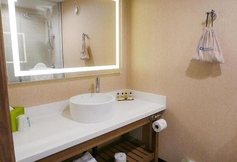 Standard-huone King-vuode, Wyndham Anaheim