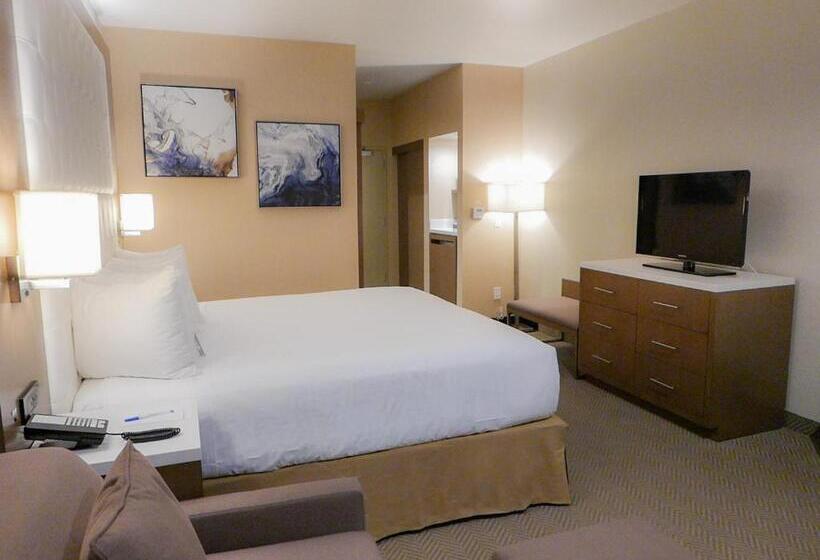Standard-huone King-vuode, Wyndham Anaheim