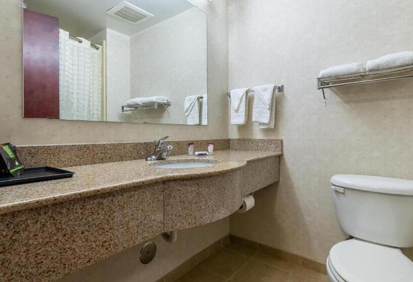Стандартный Номер Кровать Кинг, Executive Inn & Suites Upper Marlboro