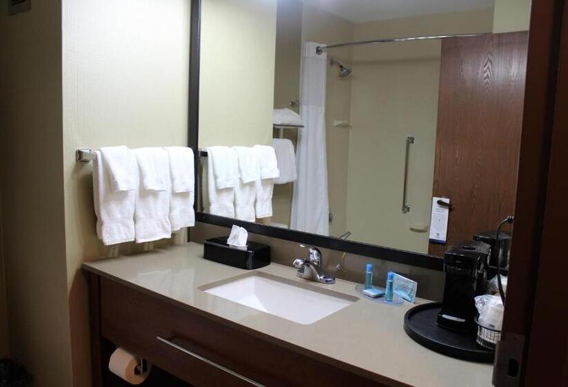 带大床的标准间, Best Western Delta Inn