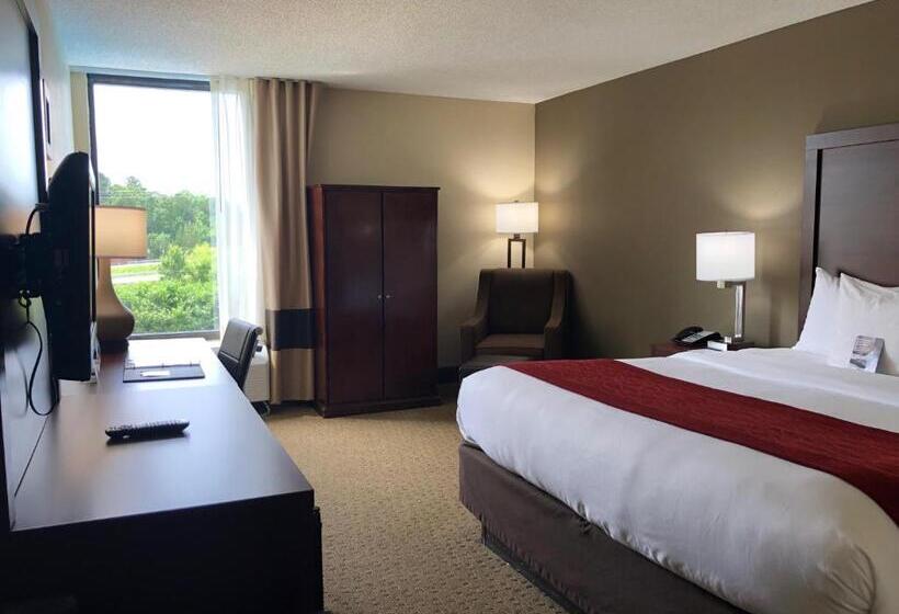 Стандартный Номер Кровать Кинг, Comfort Inn & Suites Durham Near Duke University