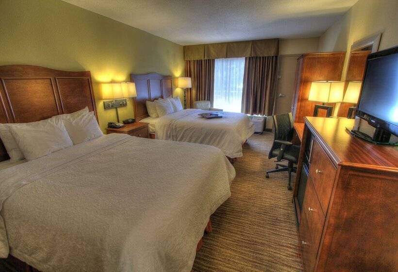 Pokój Standard 2 Łóżka Małżeńskie, Hampton Inn Gatlinburg