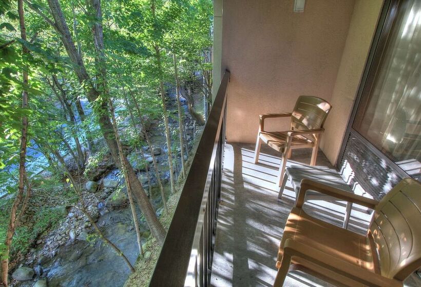 Pokój Standard 2 Łóżka Małżeńskie, Hampton Inn Gatlinburg