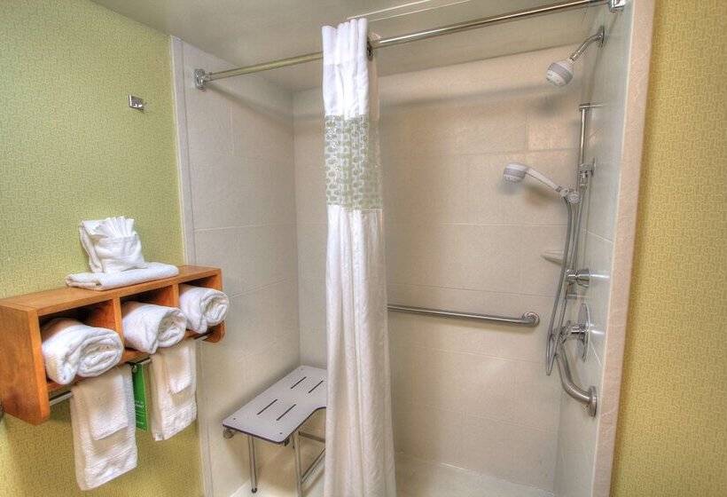 Pokój Typu Standard Łóżko Małżeńskie Przystosowany dla Osób Niepełnosprawnych, Hampton Inn Gatlinburg