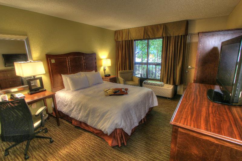 Pokój Standard z Widokiem, Hampton Inn Gatlinburg