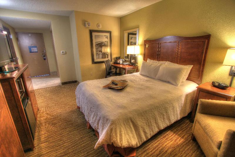Pokój Standard z Widokiem, Hampton Inn Gatlinburg