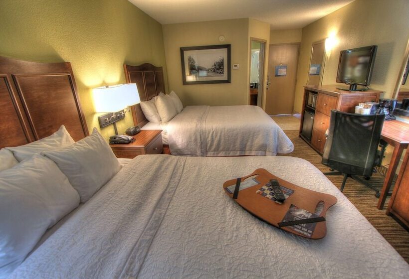 Pokój Standard 2 Łóżka Małżeńskie, Hampton Inn Gatlinburg