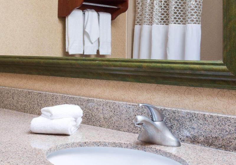 Стандартный Номер Кровать Кинг, Hampton Inn Houston/stafford