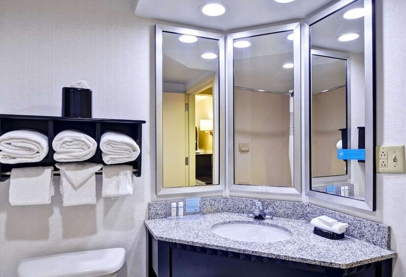 Представительский люкс с видом, Hampton Inn Mobile East Bay/daphne