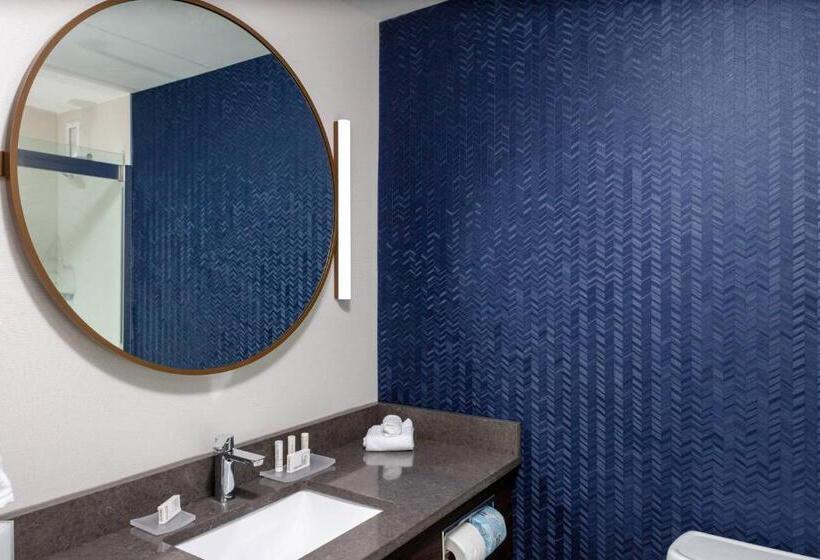 Номер Стандарт, Fairfield Inn & Suites Springfield Enfield