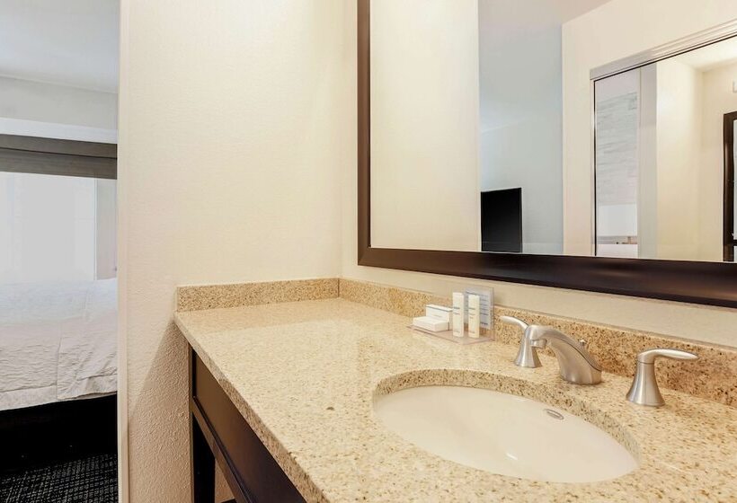Люкс, Hampton Inn & Suites Denver Tech Center