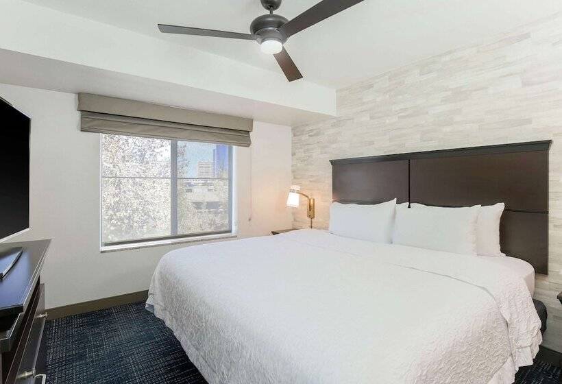 Люкс, Hampton Inn & Suites Denver Tech Center