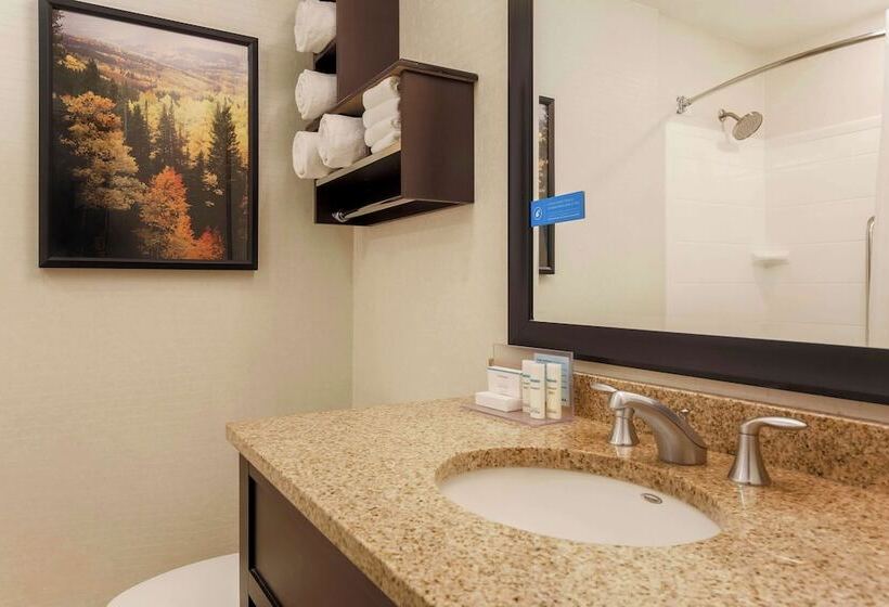 Номер Стандарт 2 Двуспальные Кровати, Hampton Inn & Suites Denver Tech Center