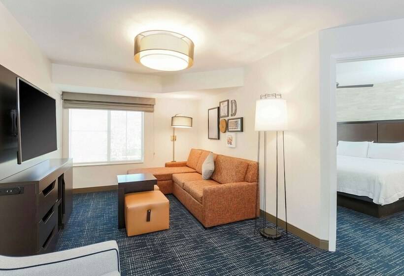 Люкс, Hampton Inn & Suites Denver Tech Center