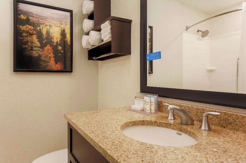 Люкс, Hampton Inn & Suites Denver Tech Center
