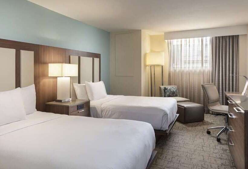스탠다드 전망 룸, Hilton Clearwater Beach Resort & Spa