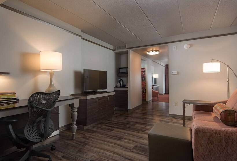 스위트 킹사이즈 침대, Hilton Garden Inn Owings Mills