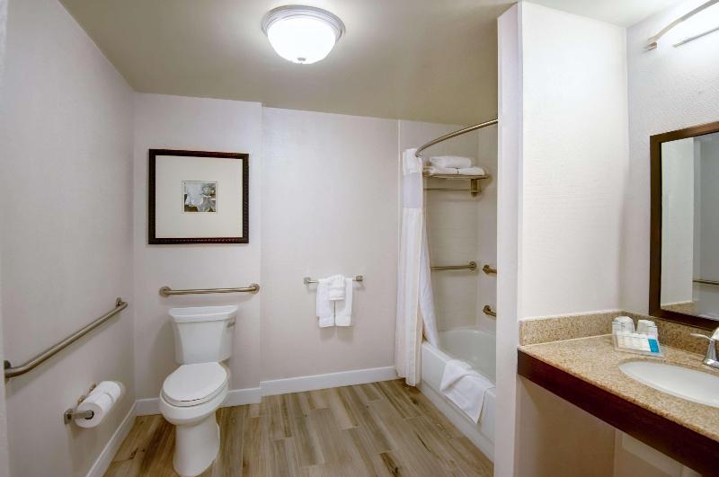 חדר סטנדרט עם מיטת קינג, Hilton Garden Inn Tampa Ybor Historic District