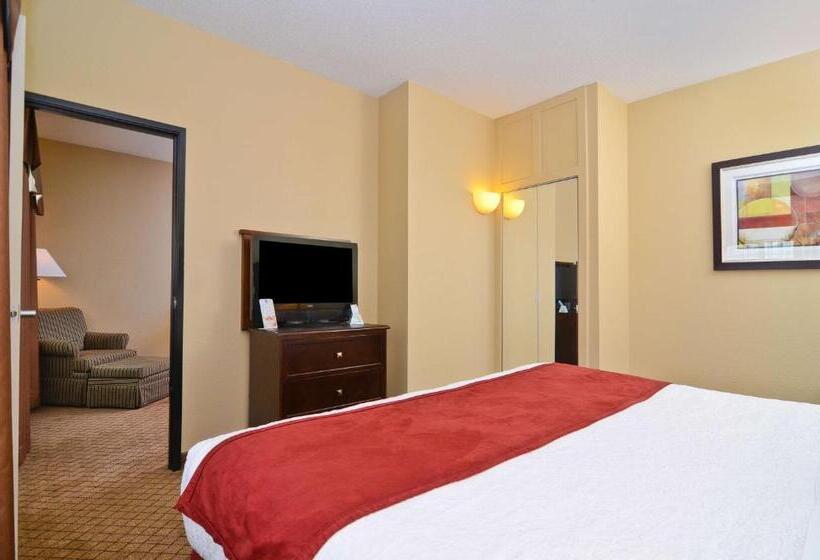 带大床的套房, Best Western Macomb Inn