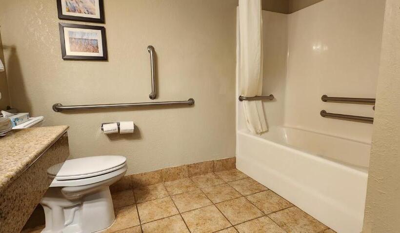 Люкс Кровать Кинг, Comfort Inn & Suites