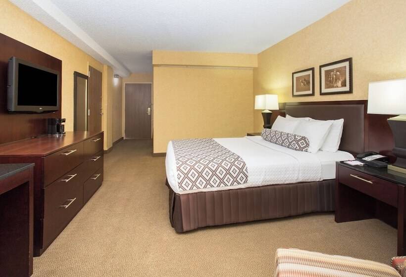 标准间, Crowne Plaza Denver International Airport, An Ihg