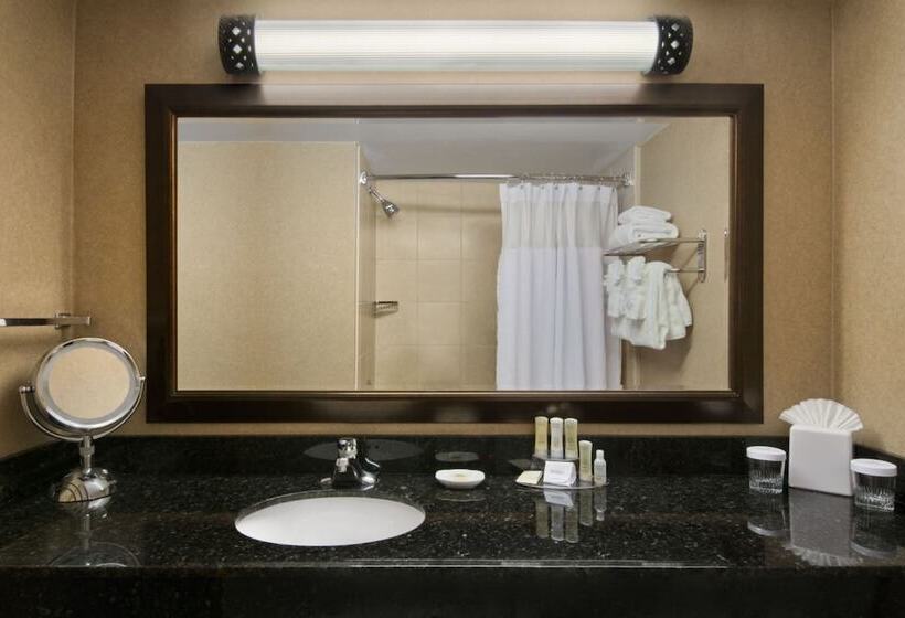 套房, Crowne Plaza Denver International Airport, An Ihg