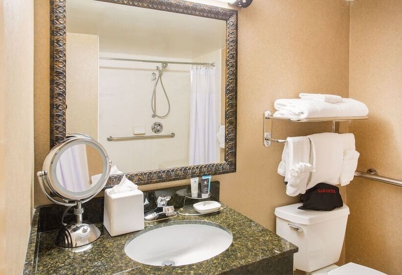 带2个双人床的标准工作室, Crowne Plaza Denver International Airport, An Ihg