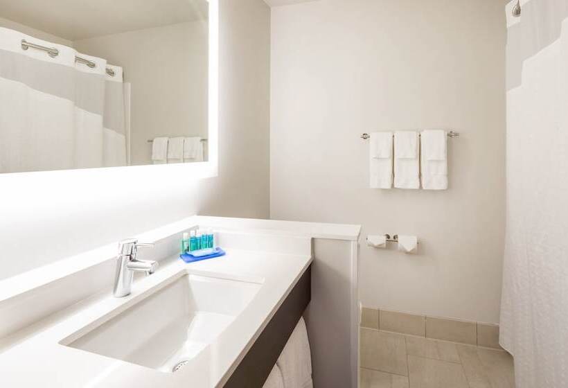سوییت, Holiday Inn Express Hotel & Suites Minneapolis Downtown Convention Center, An Ihg