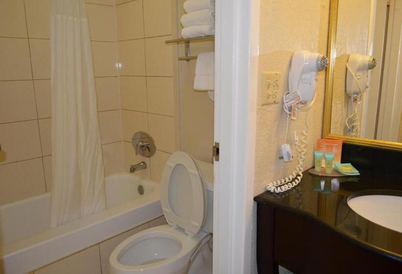 اتاق استاندارد با تخت بزرگ, Opal Hotel & Suites
