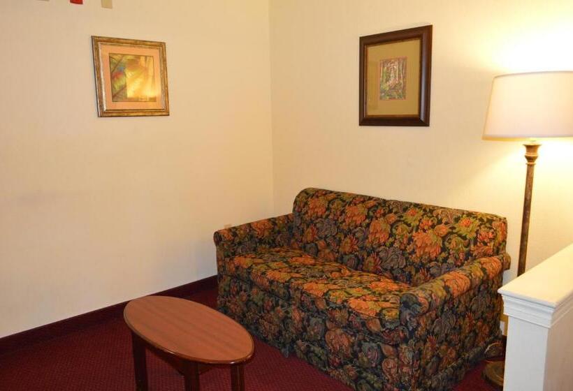 اتاق اجرایی, Opal Hotel & Suites