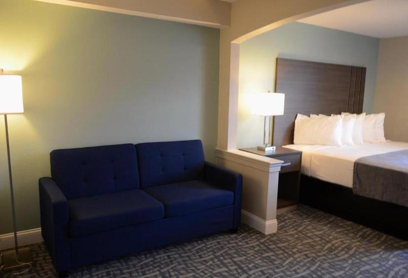 اتاق اجرایی با تخت بزرگ, Opal Hotel & Suites