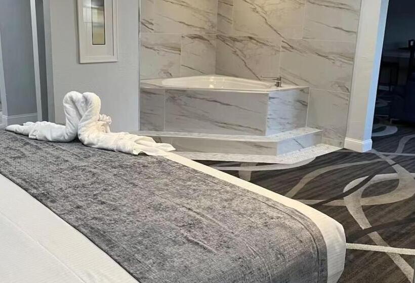 سوییت با چشم‌انداز استخر, Opal Hotel & Suites